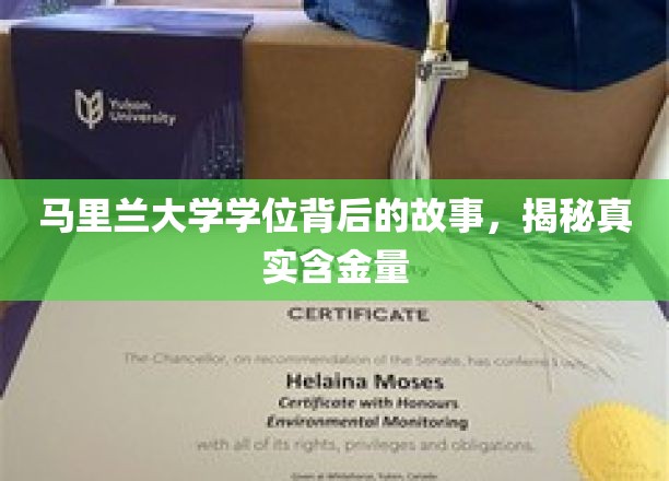马里兰大学学位探秘，揭秘其背后不为人知的珍贵价值