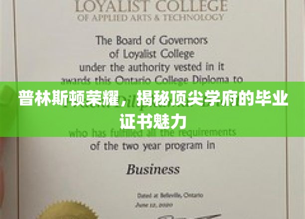 解码普林斯顿，顶尖名校证书背后的非凡魅力