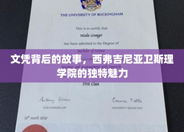 解码西弗吉尼亚卫斯理学院，文凭背后的不凡传奇