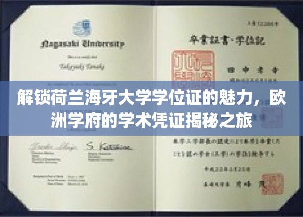 解锁荷兰海牙大学学位证的魅力，欧洲学府的学术凭证揭秘之旅