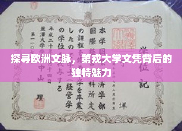 欧洲文脉传承之光，第戎大学文凭的神秘吸引力