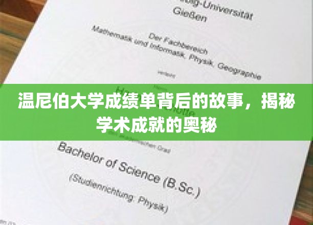 解码温尼伯大学成绩单，探寻学术辉煌的秘籍之路