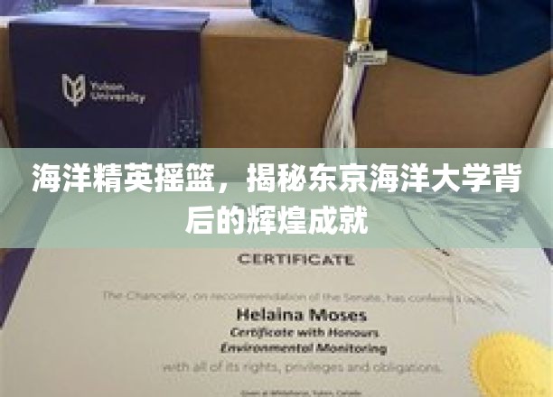 海之骄子养成记，东京海洋大学铸就海洋英才传奇