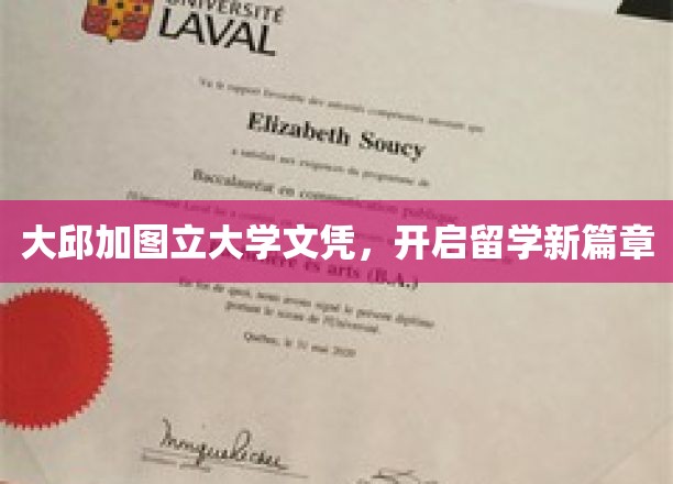 大邱加图立大学文凭，开启留学新篇章