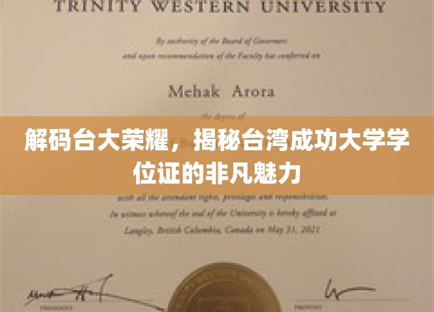 探寻台大荣耀密码，成功大学学位证的独特魅力揭秘