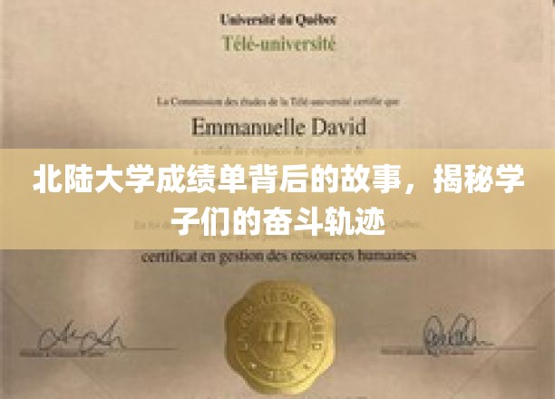 北陆大学成绩单背后的奋斗篇章，学子成长轨迹全纪录