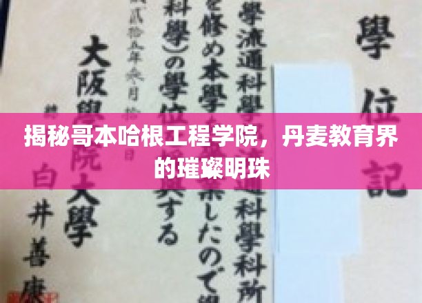 解锁丹麦教育瑰宝，哥本哈根工程学院的非凡魅力