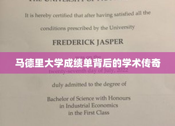 马德里大学成绩单揭秘，探寻学术传奇背后的故事