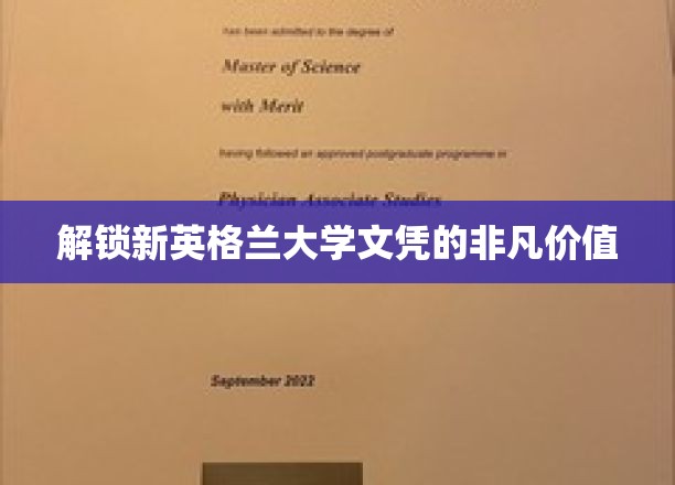 新英格兰大学文凭的非凡价值