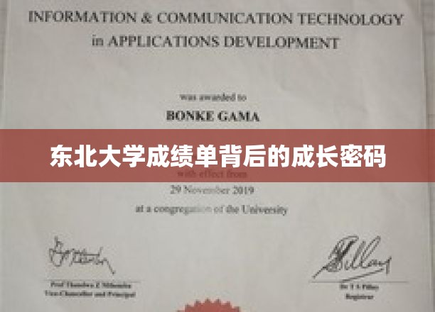 解码东北大学学子卓越成就的成绩单密码