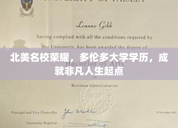多伦多大学光环照耀，开启非凡人生之旅