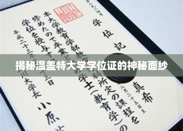 探索温盖特大学学位证的非凡之谜