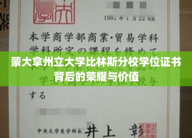 揭开蒙大拿州立大学比林斯分校学位证书的神秘面纱，荣耀与价值揭秘之旅