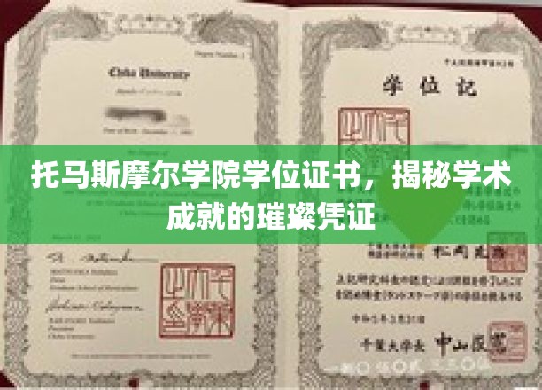 解锁学术荣耀，托马斯摩尔学院学位证书的非凡见证