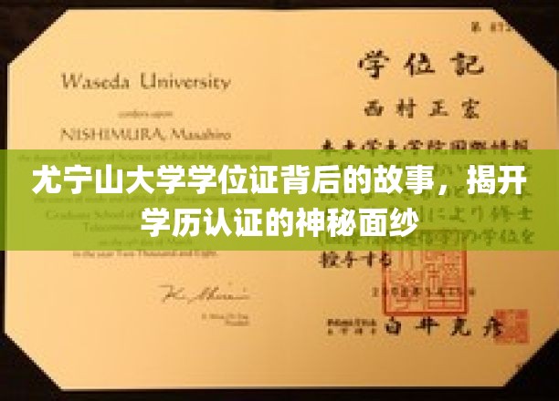 尤宁山大学学位证传奇，揭秘学历认证背后的真实轨迹