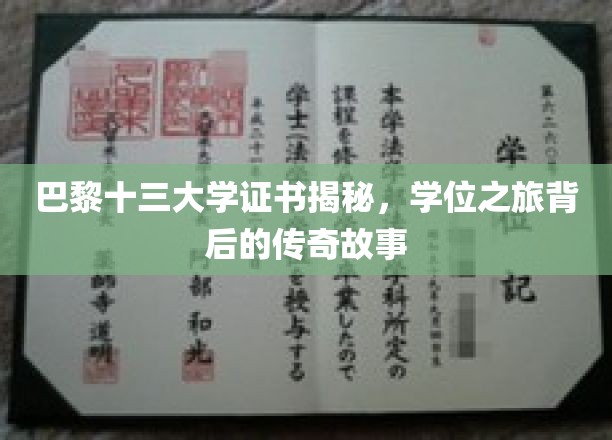 巴黎十三大学证书揭秘，学位之旅背后的传奇故事
