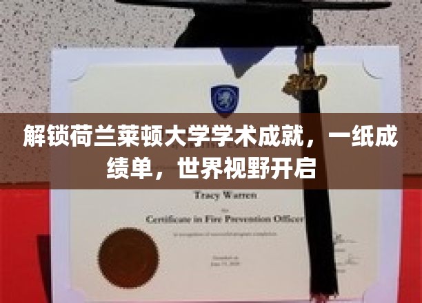 跨越莱顿，一纸成绩单，开启你的全球学术之旅