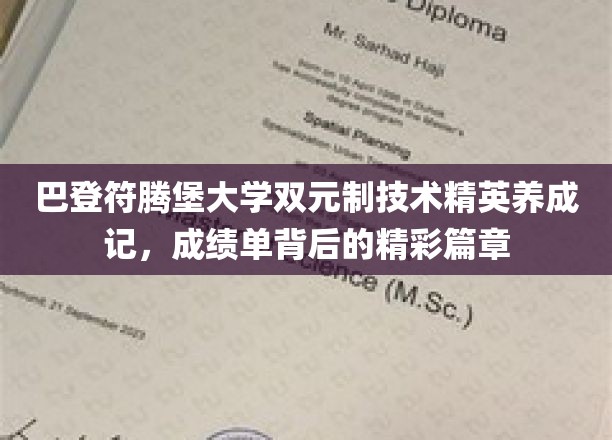 巴登符腾堡大学双元精英养成记，技术殿堂里的双重荣耀之旅