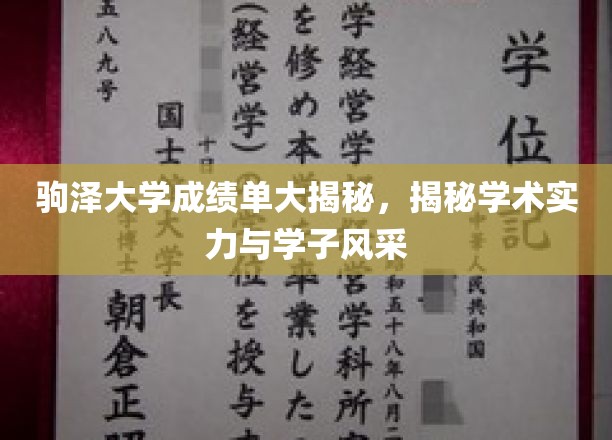 驹泽大学学子风采展，揭秘卓越学术实力背后的成绩单秘密