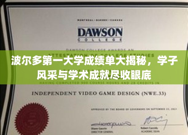 波尔多一大学才子云集，揭秘成绩单背后的辉煌成就与青春风采