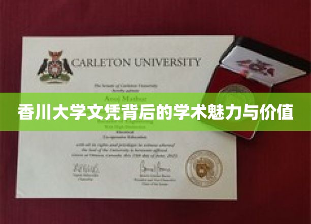 香川大学文凭背后的学术魅力与价值