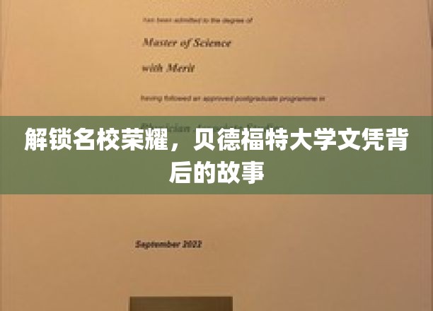 解锁名校荣耀，贝德福特大学文凭背后的故事