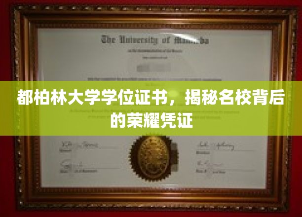 解码都柏林大学，名校学位证书背后的辉煌印记