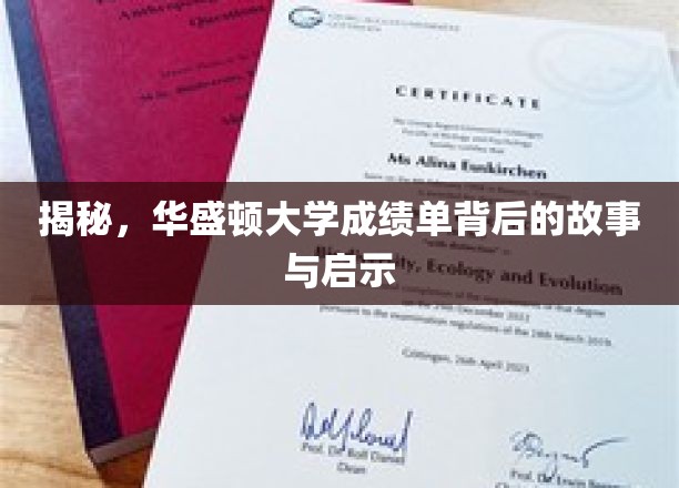 解码华盛顿大学成绩单，探寻背后的学术奥秘与成长启示