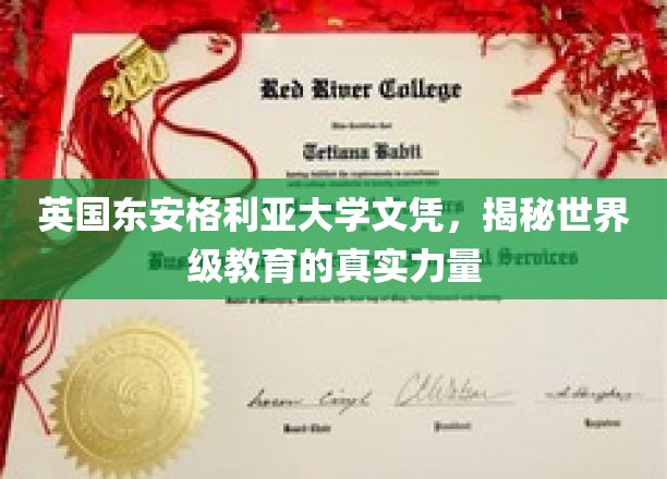 英国东安格利亚大学文凭，揭秘世界级教育的真实力量