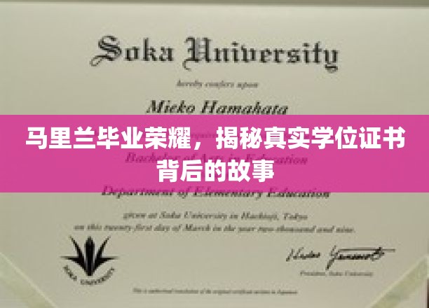 马里兰荣耀揭秘，学位证书背后的不为人知传奇