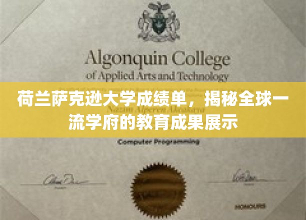 荷兰萨克逊大学卓越成果展，一窥世界级教育的真实面貌