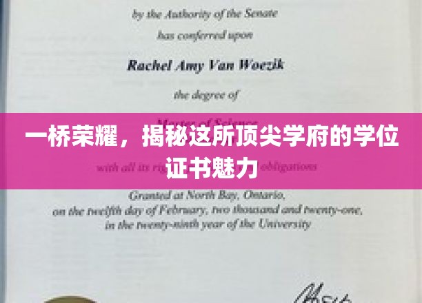 学位证书的荣耀之光，探秘顶尖学府一桥风采
