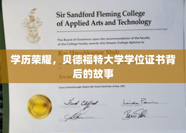 学历荣耀，贝德福特大学学位证书背后的故事