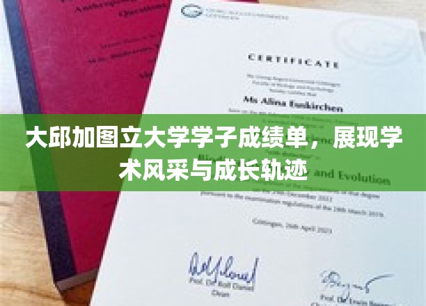 大邱加图立大学学子成绩单，展现学术风采与成长轨迹
