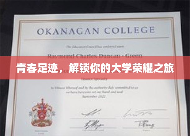 青春篇章，探寻大学时光的辉煌印记