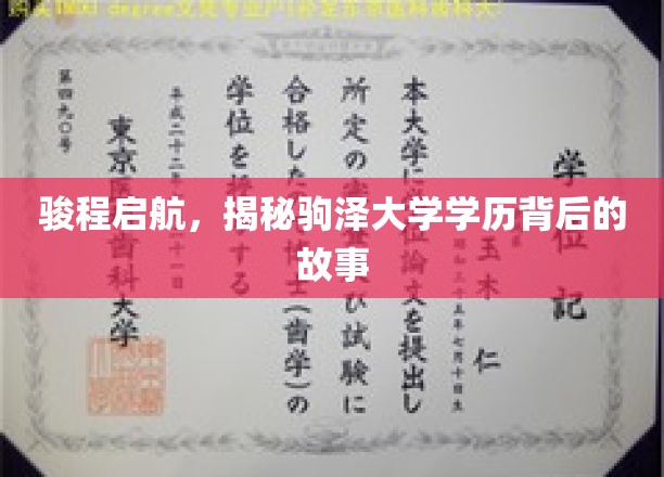 骏程揭秘，驹泽大学学历背后的非凡篇章