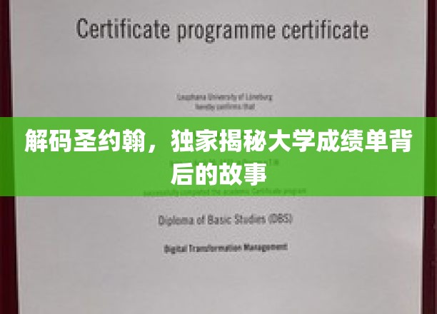 解码圣约翰，独家揭秘大学成绩单背后的故事