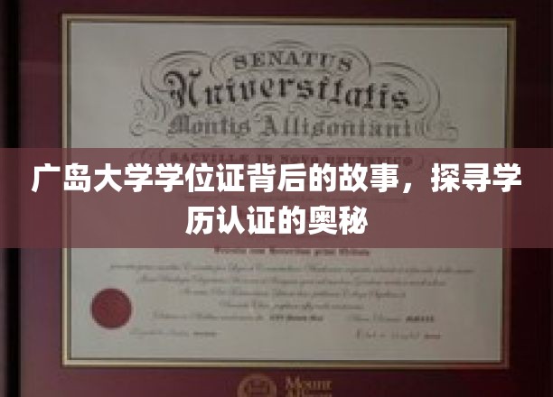广岛大学学位证背后的故事，揭秘学历认证的奥秘