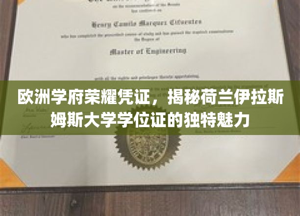 欧洲学府荣耀凭证，揭秘荷兰伊拉斯姆斯大学学位证的独特魅力