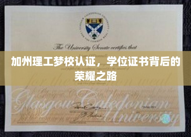 解码加州理工梦校荣耀，一纸学位证书背后的奋斗传奇