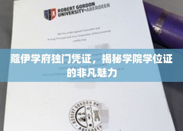 蔻伊学府独门凭证，揭秘学位证的独特魅力
