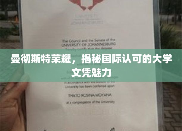 曼大荣耀揭秘，国际文凭背后的非凡魅力