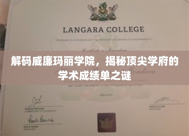 探寻威廉玛丽学院，揭秘精英教育的卓越成就面纱