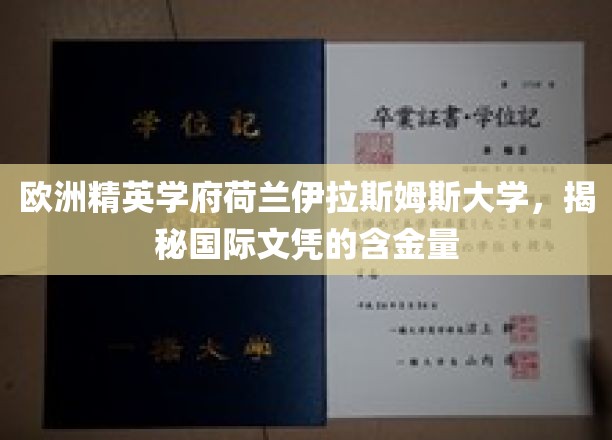 荷兰伊拉斯姆斯大学，解码欧洲顶尖学府的国际文凭价值
