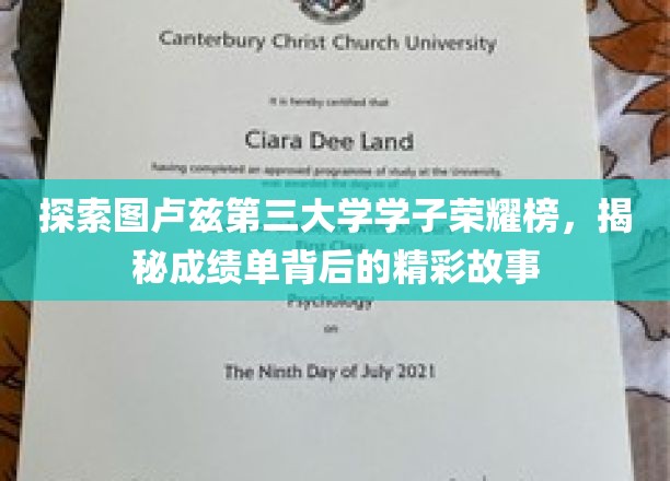 探索图卢兹第三大学学子荣耀榜，揭秘成绩单背后的精彩故事