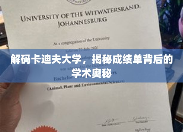 解码卡迪夫大学，揭秘成绩单背后的学术奥秘