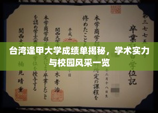 台湾逢甲大学揭秘，学术魅力与校园风光大公开