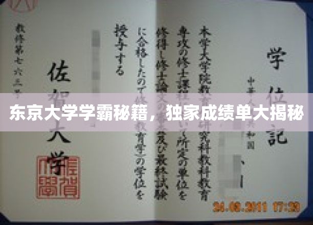 东京大学学霸秘籍，独家成绩单大揭秘
