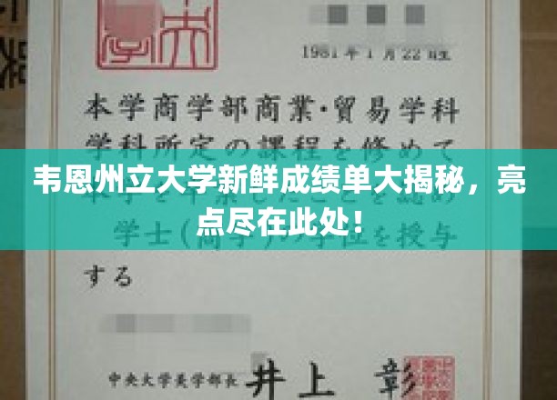 韦恩州立大学成绩单亮点抢先看，揭秘学子新成就！