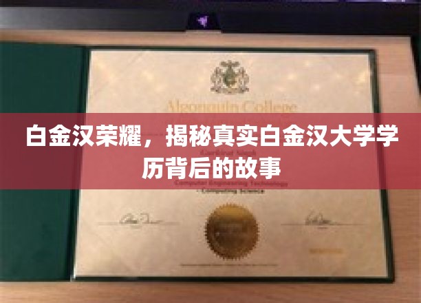 揭开白金汉荣耀，探寻学历背后的不凡传奇